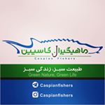 Profile Picture of ماهیگیران کاسپین (@caspianfishers) on Instagram