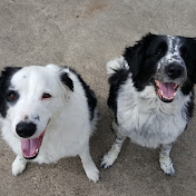 Profile Picture of Peter Farrell (@peterfarrell117) on Youtube