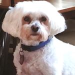 Profile Picture of Todd Tanner (@todd.tanner.186) on Instagram