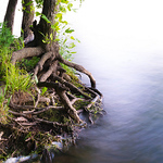 Profile Picture of Eric Bowman (@shutter freq) on Flickr