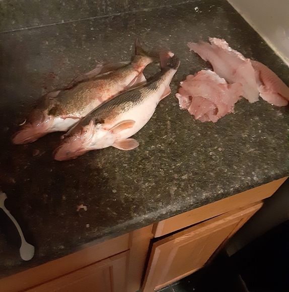 Profile Picture of Richard Faust (@0526mybaby) on Poshmark