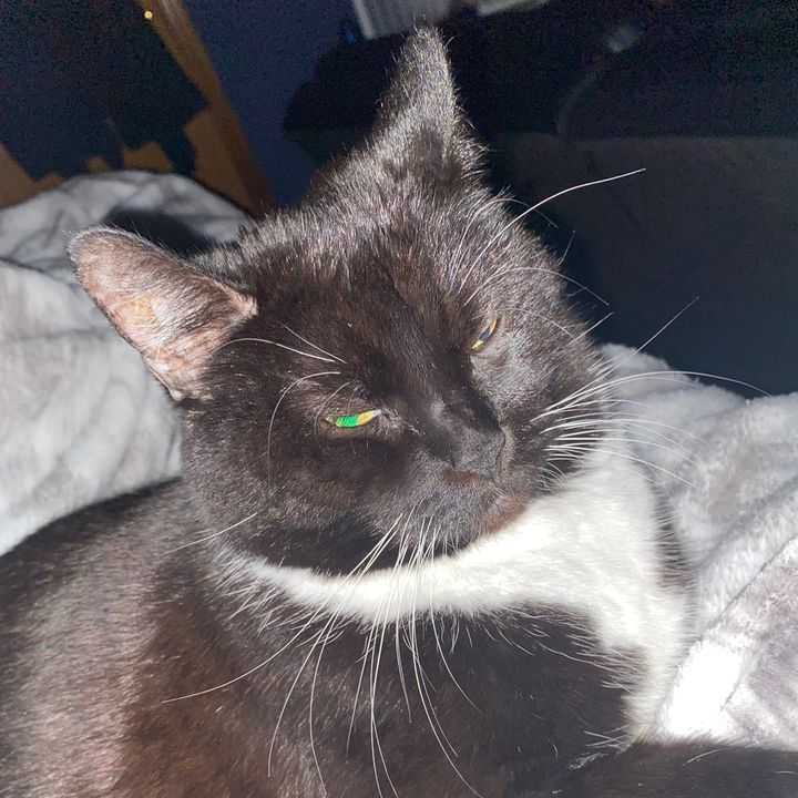 Profile Picture of Nicholas Grant (@nickgt77) on Tiktok