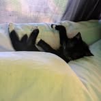 Sammie Trout - Facebook Profile Picture of Sammie Trout (@Sammie-Trout) on Facebook