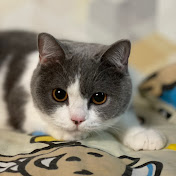 Profile Picture of Eunice Hui (@eunicehui9727) on Youtube