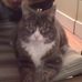 Profile Picture of Wally Schmidt (@wally.schmidt.14) on Facebook