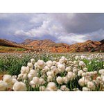 Charissa Stewart - Instagram Profile Picture of Charissa Stewart (@papathensi) on Instagram