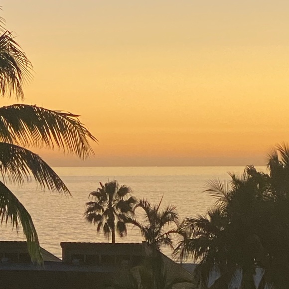 Dustin Schwenka - Poshmark Profile Picture of Dustin Schwenka (@dschwenka) on Poshmark