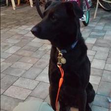 Profile Picture of DanM (@daniel_mays) on Twitter