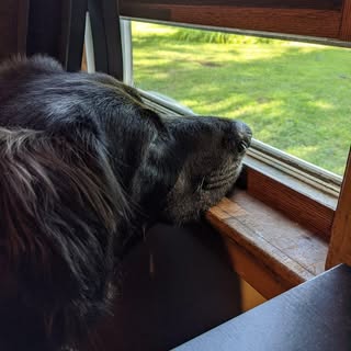 Christopher Berni - Instagram Profile Picture of Christopher Berni (@brassberni) on Instagram