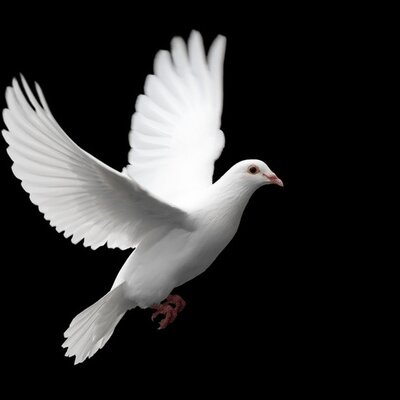 Profile Picture of Sis. Pamela C. Minor (@Minor0208) on Twitter