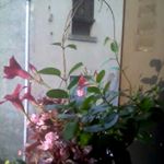 Profile Picture of Catherine Mallet (@catherine.mallet.9619) on Instagram