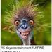 Profile Picture of Jonathan Kirschner (@jonathan.kirschner.948) on Facebook