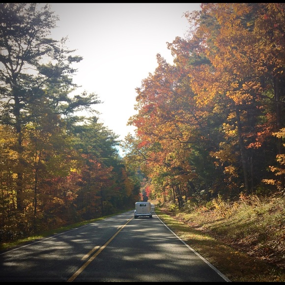 Profile Picture of Mickey Shea (@mickey_shea) on Poshmark