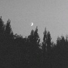 Profile Picture of Дамир (@@dankopf7) on Tiktok