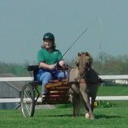 Profile Picture of Judith Jay (@foxhollerfarm) on Pinterest