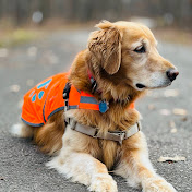 Profile Picture of Jeff Justice (@jeffjustice9527) on Youtube