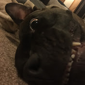 Profile Picture of James Vincent (@jamesvincent414) on Youtube