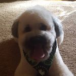 Profile Picture of bertrayl (@bertrayl) on Instagram