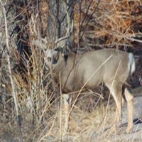 Peter Brothers - Quora Profile Picture of Peter Brothers (@peter-brothers-2) on Quora