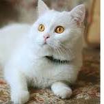 Profile Picture of George Steven (@Geo.144) on Facebook