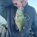 Profile Picture of Ronald Hicks (@ronald.hicks.75) on Facebook