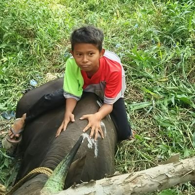 Profile Picture of Anak_desa (@tadha999) on Twitter