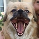 Profile Picture of Robert Gene Deal (@bo.gene) on Instagram