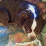 Profile Picture of Jon Lauramore (@jon.lauramore) on Facebook