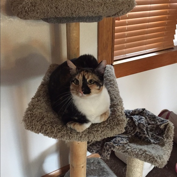 Profile Picture of Karly Klein (@webbracing88) on Poshmark