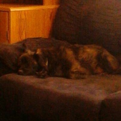 Profile Picture of AutumnQuinn (@AutumnQuinn3) on Twitter