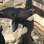 Profile Picture of Carter Cressman (@cressmancarter) on Instagram