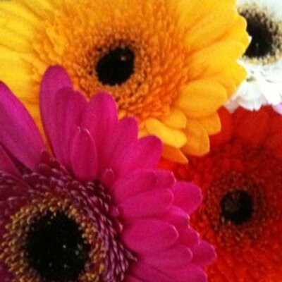 Profile Picture of Vicky Nelson (@vicky_hutton) on Twitter