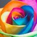 Profile Picture of Devon Anne Daniel (@devonannebryant) on Pinterest
