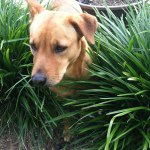 Profile Picture of Nathan (@nate_morrill) on Instagram