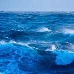 Profile Picture of Sam Grey Carson (@_cam__sarson_) on Instagram