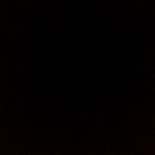 Profile Picture of Marc Rodriguez (@MarcThePigeon) on Twitter