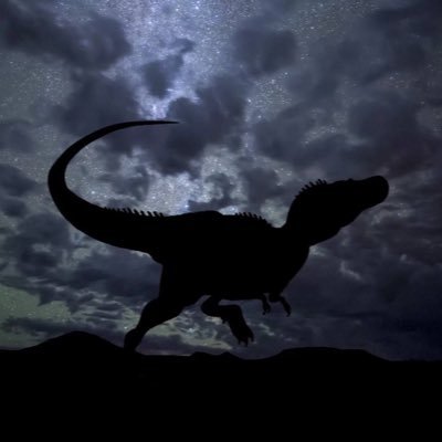Profile Picture of Nick Amodio (@NickAmodio2) on Twitter