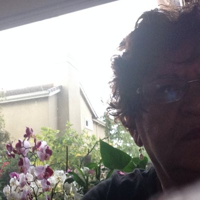 Profile Picture of Mahvash Sorooshian (@mahvashs1) on Twitter