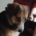Profile Picture of Carla Patterson (@carla.patterson.12) on Facebook