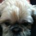 Profile Picture of Scott Ki (@scott.ki.9) on Facebook
