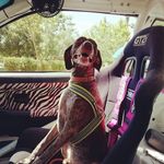 Profile Picture of Jordi Torres (@jorditorresjungle) on Instagram