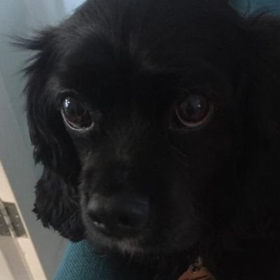 Profile Picture of Gary Shea (@GaryShea10) on Twitter