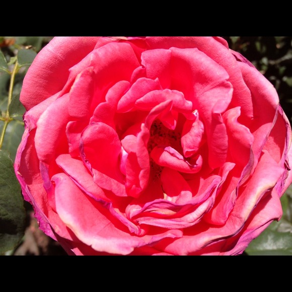 Profile Picture of Allison Reatherford (@areatherford) on Poshmark