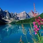 Profile Picture of Enrico Johnson (@johnson.enrico) on Instagram