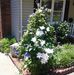 Profile Picture of Glenda Wages (@glenda.wages.79) on Facebook