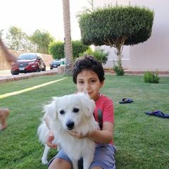 Profile Picture of Patrick Mena (@patrickmena1) on Tiktok