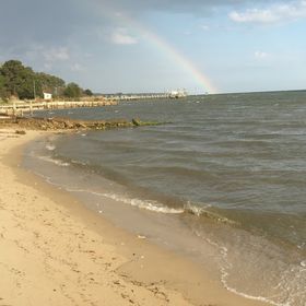 Profile Picture of Brianna Leschinski (@briannaleschinski) on Pinterest