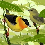 Profile Picture of Bryan Pollock (@bryandrawsbirds) on Flickr