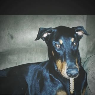 Profile Picture of Keri Rushing (@daddyzgirl.kr) on Instagram