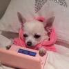 Profile Picture of Carolyn (@carolynnroberts) on Tiktok